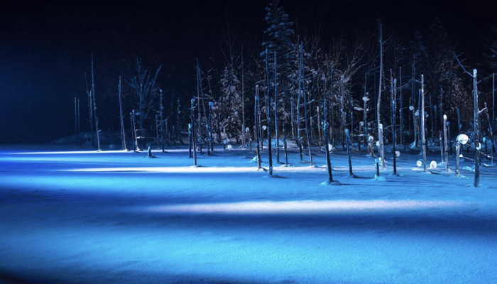 blue pond in biei hokkaido