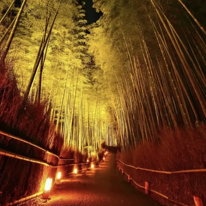 arashiyama bamboo grove kyoto japan