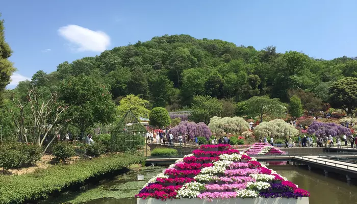 ashikaga flower park tochigi japan