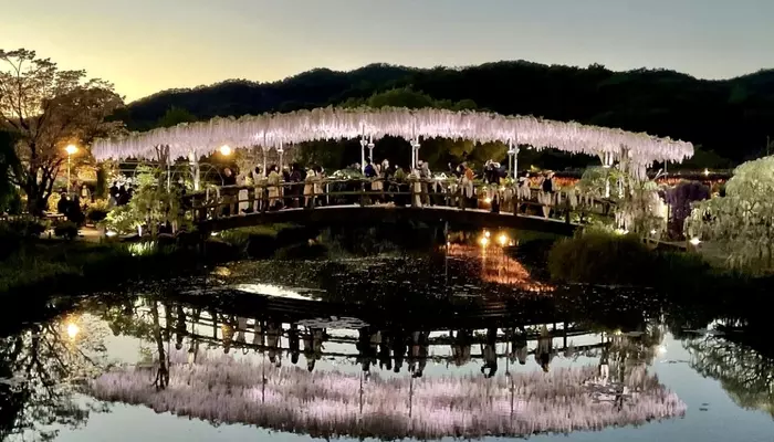 ashikaga flower park tochigi japan