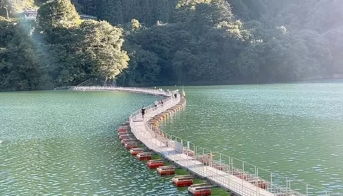 mugiyama floating bridge okutama japan