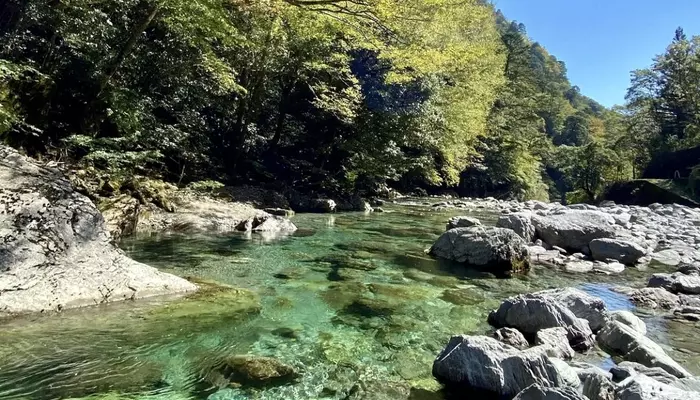 niyodo river in kochi japan
