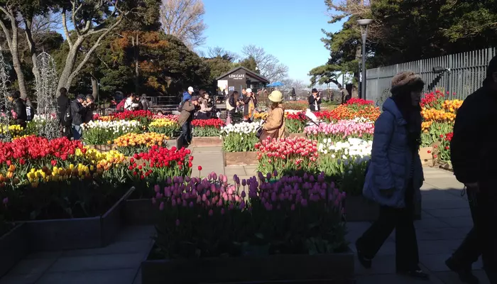 samuel cocking garden in enoshima kanagawa japan